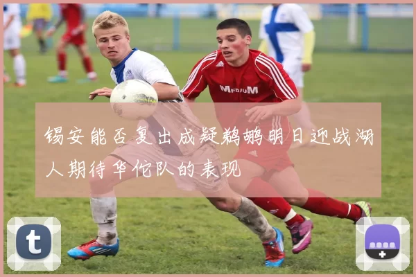 锡安能否复出成疑鹈鹕明日迎战湖人期待华佗队的表现